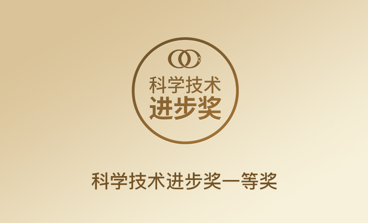 轻工联科技进取一等奖